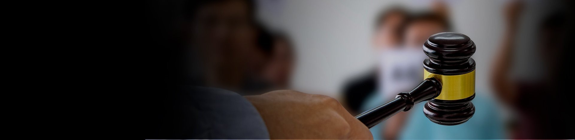 Área de atuação Procedimentos Licitatórios