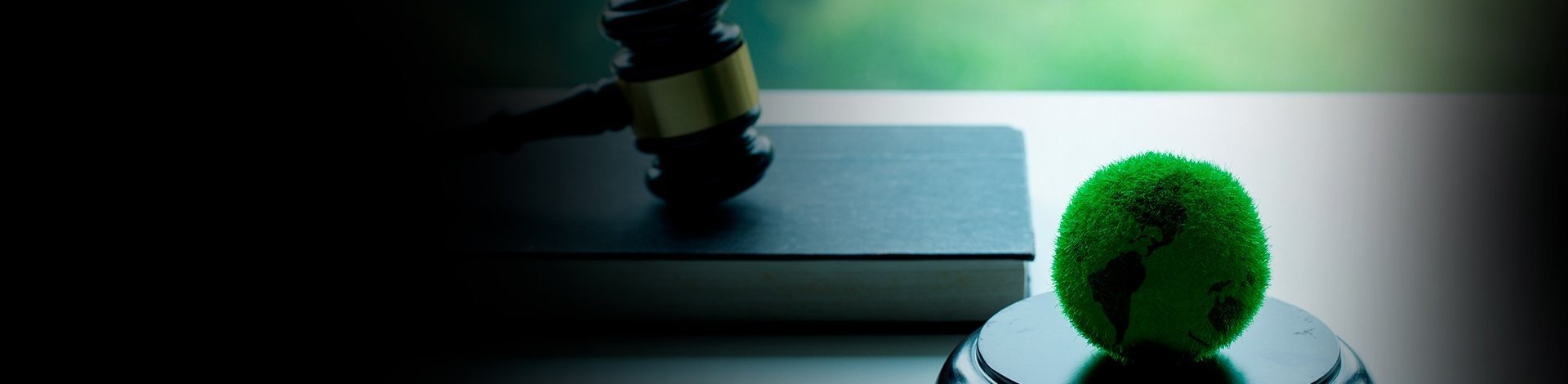 Área de atuação Direito Ambiental