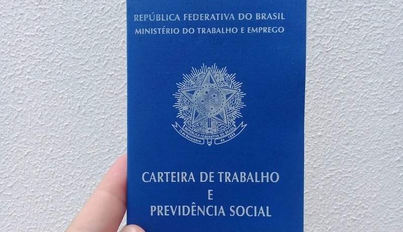 A Relação Jurídica entre as Partes: Vínculo Empregatício